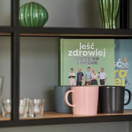 Mezzanine Studio Zarembowicza Airport By Renters * Wroclaw